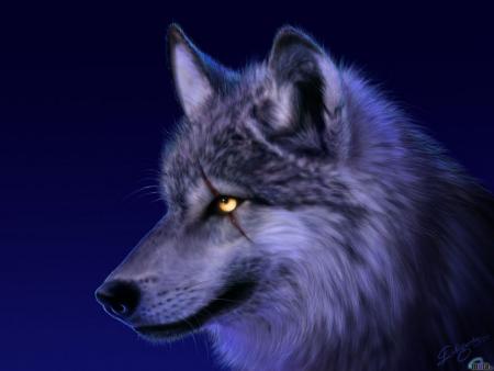 wolf